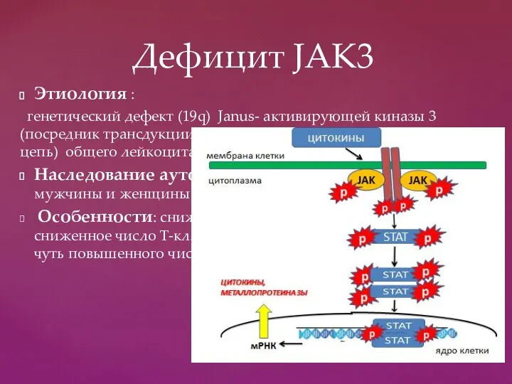 Этиология : генетический дефект (19q) Janus- активирующей киназы 3 (посредник трансдукции сигнала к