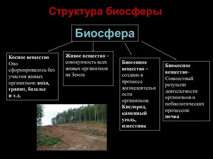 Структура биосферы Биосфера Косное вещество Оно сформировалось без участия живых