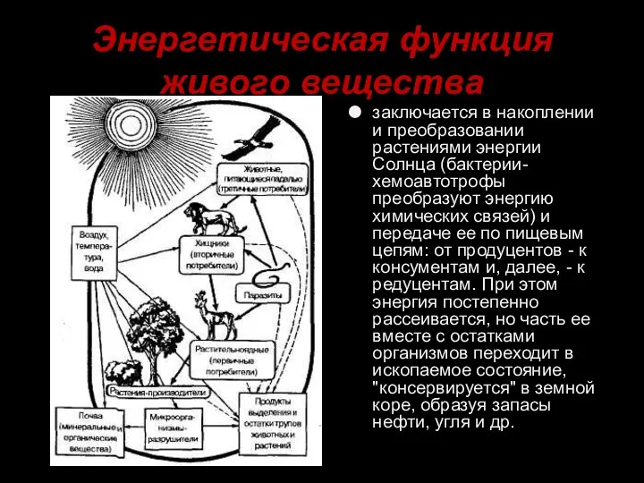 Энергетическая функция живого вещества заключается в накоплении и преобразовании растениями