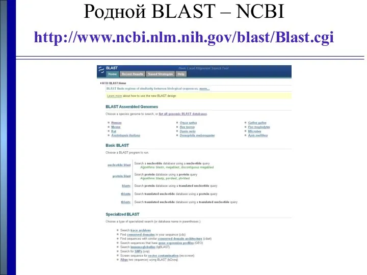 Родной BLAST – NCBI http://www.ncbi.nlm.nih.gov/blast/Blast.cgi