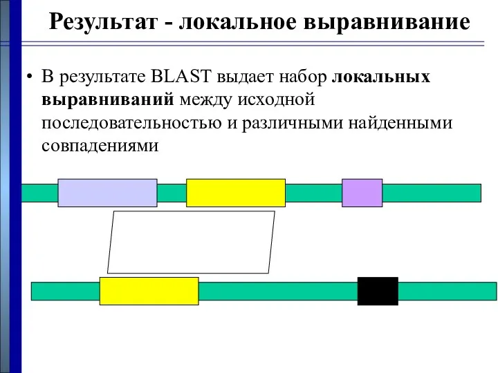 Результат - локальное выравнивание В результате BLAST выдает набор локальных