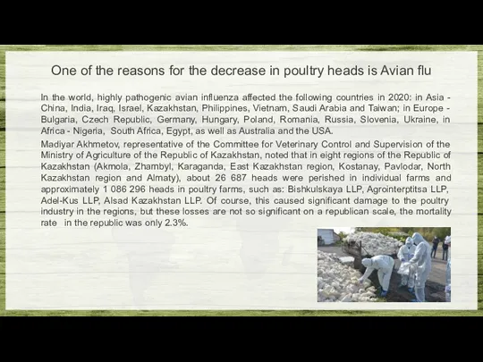 One of the reasons for the decrease in poultry heads