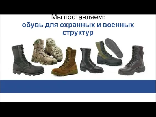 Мы поставляем: обувь для охранных и военных структур