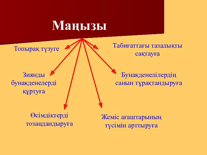 Маңызы Топырақ түзуге Зиянды бунақденелерді құртуға Өсімдіктерді тозаңдандыруға Табиғаттағы тазалықты