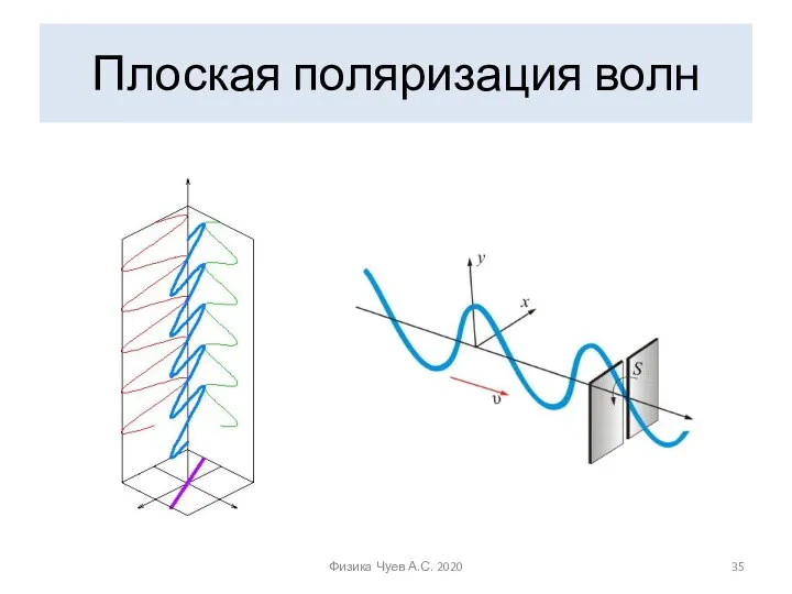 Плоская поляризация волн Физика Чуев А.С. 2020