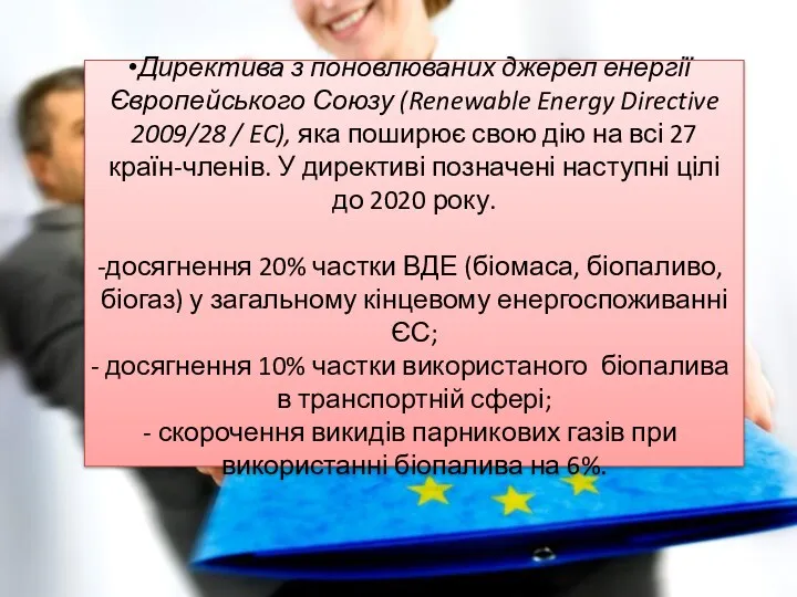 Директива з поновлюваних джерел енергії Європейського Союзу (Renewable Energy Directive