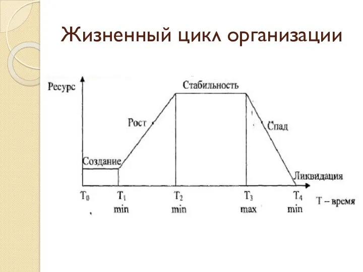 Жизненный цикл организации