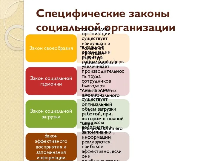 Специфические законы социальной организации Закон своеобразия для каждой организации существует