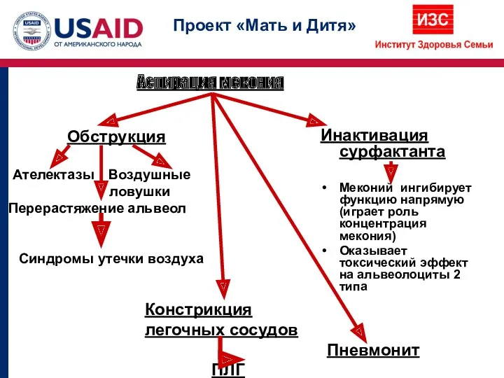 Аспирация мекония Обструкция Ателектазы Воздушные ловушки Перерастяжение альвеол Синдромы утечки