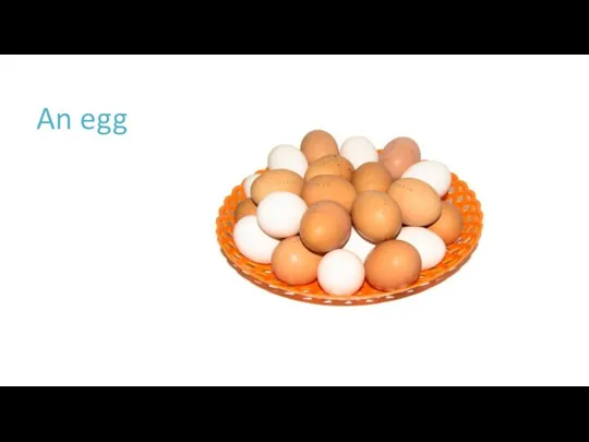 An egg