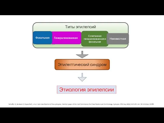 Scheffer IE, Berkovic S, Capovilla G, et al. ILAE classification