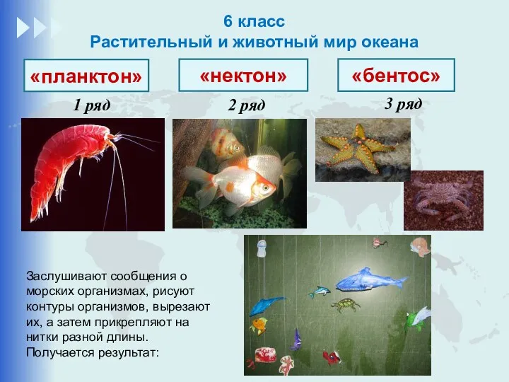 6 класс Растительный и животный мир океана «бентос» «планктон» «нектон»