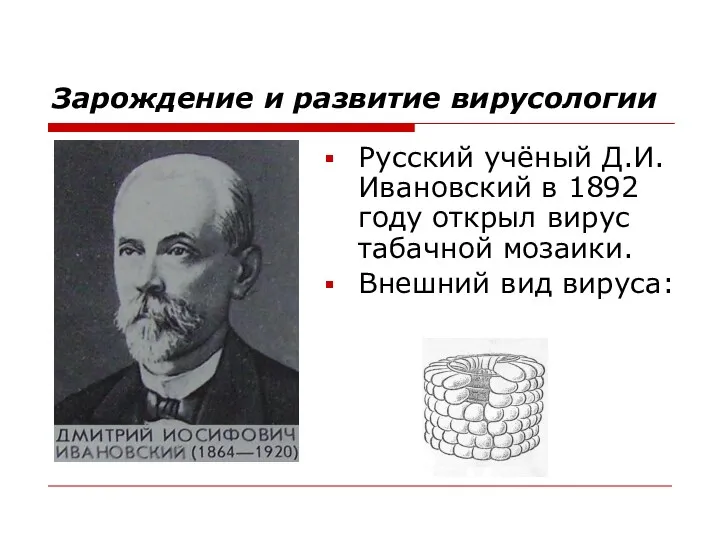 Зарождение и развитие вирусологии Русский учёный Д.И. Ивановский в 1892 году открыл вирус