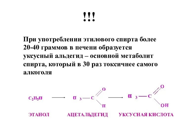 !!! При употреблении этилового спирта более 20-40 граммов в печени