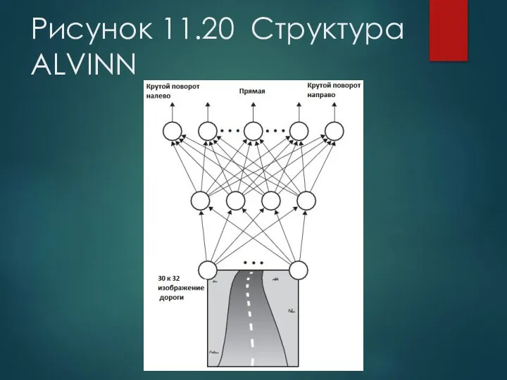 Рисунок 11.20 Структура ALVINN