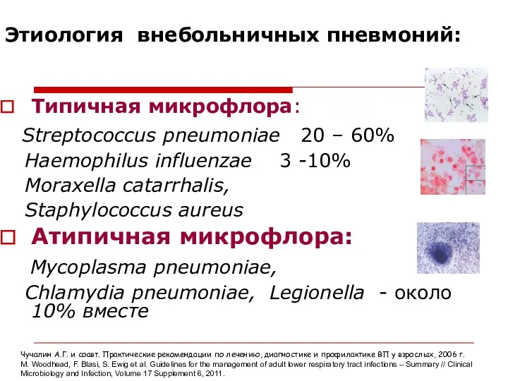 Этиология внебольничных пневмоний: Типичная микрофлора: Streptococcus pneumoniae 20 – 60%