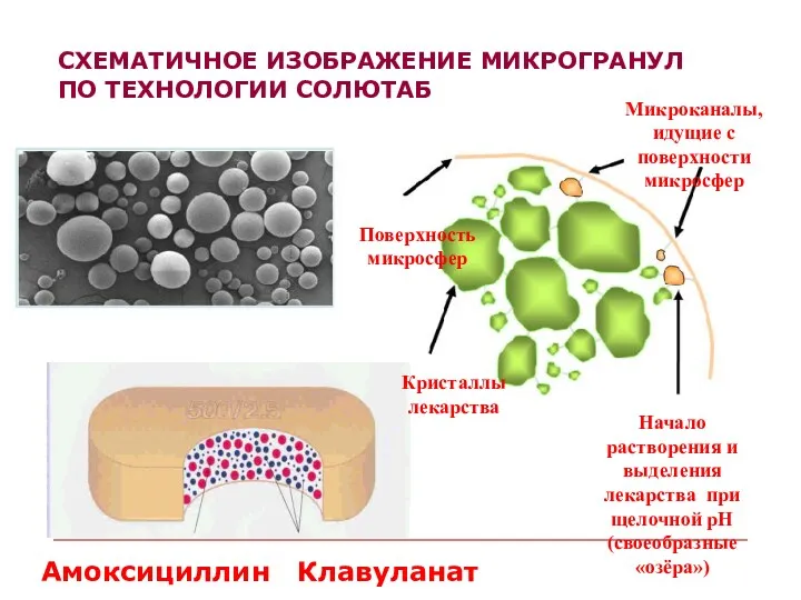 СХЕМАТИЧНОЕ ИЗОБРАЖЕНИЕ МИКРОГРАНУЛ ПО ТЕХНОЛОГИИ СОЛЮТАБ Амоксициллин Клавуланат Кристаллы лекарства