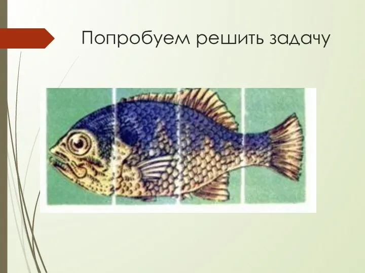 Попробуем решить задачу Найдем площадь изображения рыбки Как нам действовать?