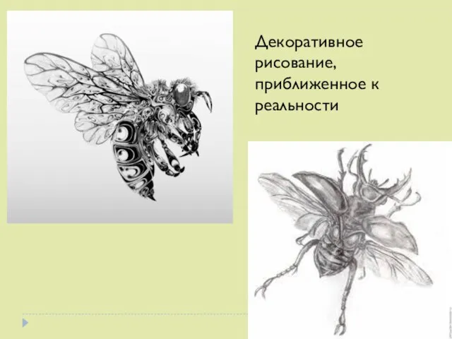 Декоративное рисование, приближенное к реальности