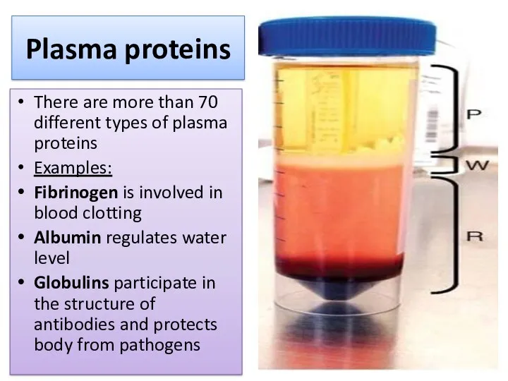 Plasma proteins There are more than 70 different types of