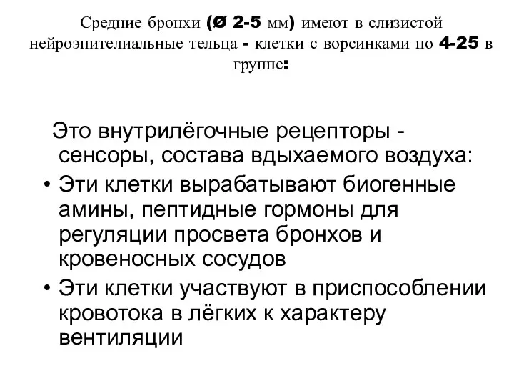 Средние бронхи (Ø 2-5 мм) имеют в слизистой нейроэпителиальные тельца - клетки с