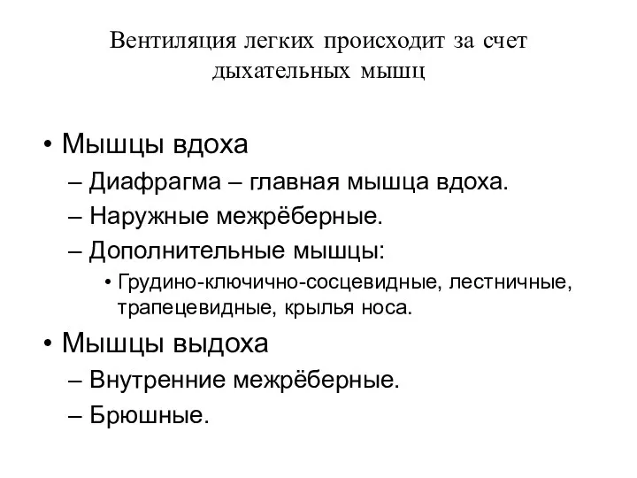 Вентиляция легких происходит за счет дыхательных мышц Мышцы вдоха Диафрагма