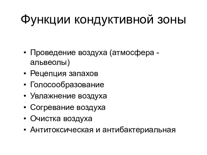 Функции кондуктивной зоны Проведение воздуха (атмосфера - альвеолы) Рецепция запахов