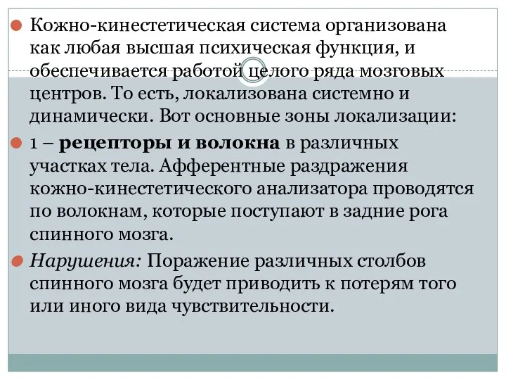 Кожно-кинестетическая система организована как любая высшая психическая функция, и обеспечивается