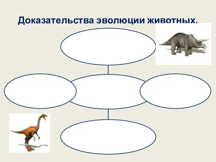 Доказательства эволюции животных.