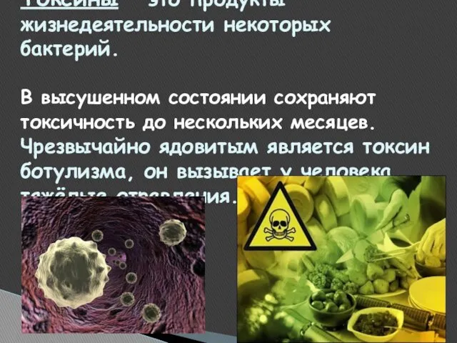 Токсины – это продукты жизнедеятельности некоторых бактерий. В высушенном состоянии