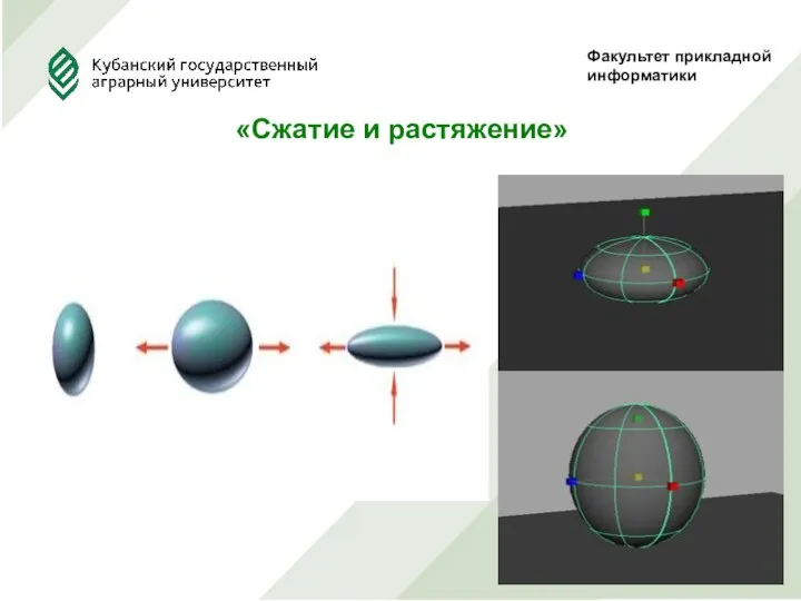 Факультет прикладной информатики «Сжатие и растяжение»