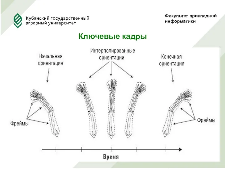 Факультет прикладной информатики Ключевые кадры