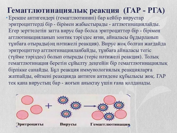 Гемагглютинациялық реакция (ГАР - РГА) Ерекше антигендері (гемагглютинині) бар кейбір