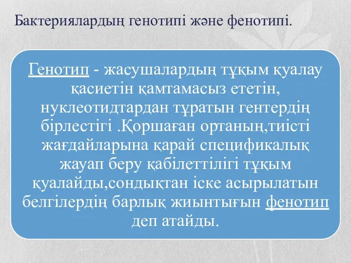 Бактериялардың генотипі және фенотипі.