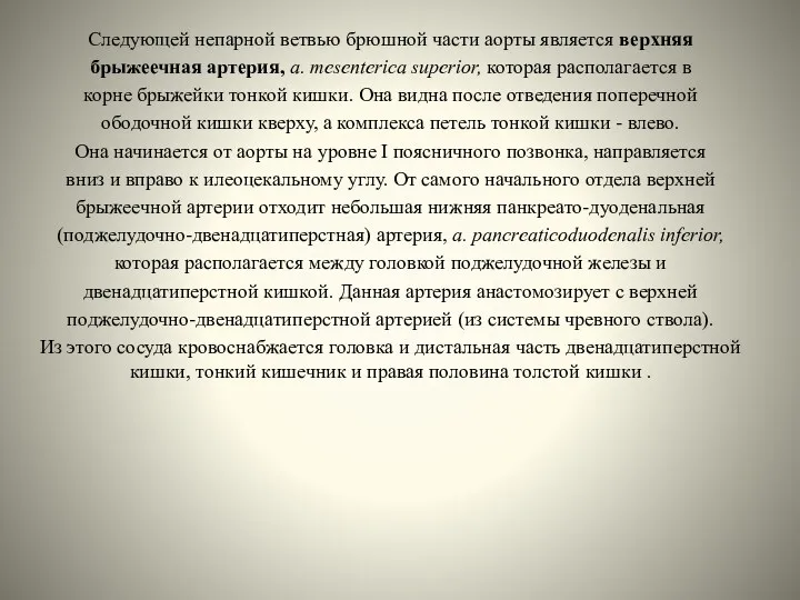 Следующей непарной ветвью брюшной части аорты является верхняя брыжеечная артерия,