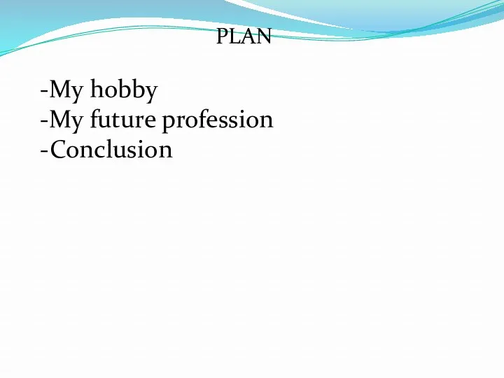 PLAN -My hobby -My future profession -Conclusion