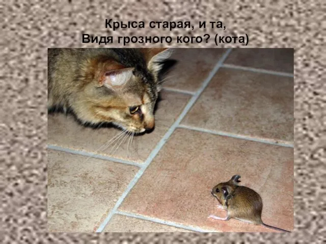 Крыса старая, и та, Видя грозного кого? (кота)