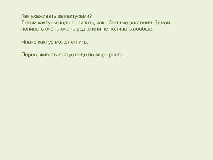 Как ухаживать за кактусами? Летом кактусы надо поливать, как обычные