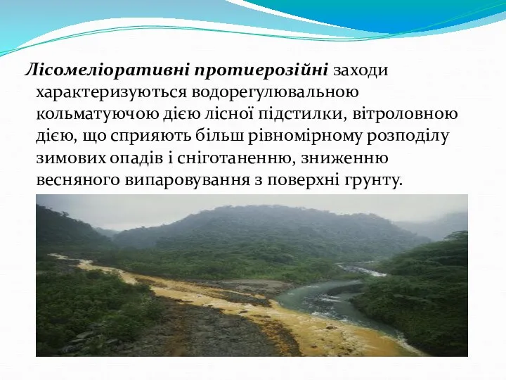 Лісомеліоративні протиерозійні заходи характеризуються водорегулювальною кольматуючою дією лісної підстилки, вітроловною