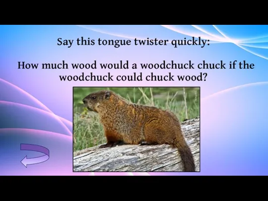 Say this tongue twister quickly: How much wood would a