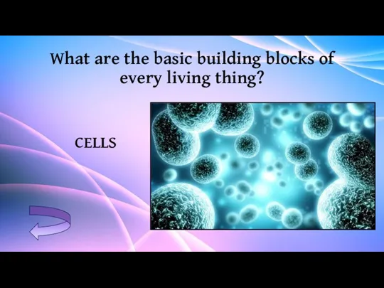 What are the basic building blocks of every living thing? CELLS