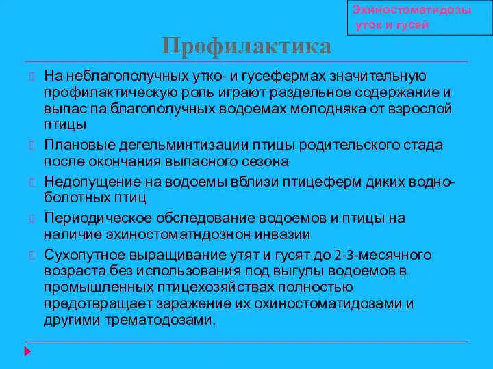 Профилактика На неблагополучных утко- и гусефермах значительную профилактическую роль играют