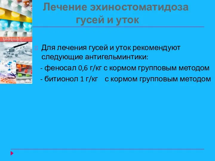 Лечение эхиностоматидоза гусей и уток Для лечения гусей и уток рекомендуют следующие антигельминтики: