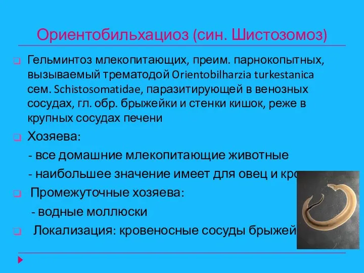 Ориентобильхациоз (син. Шистозомоз) Гельминтоз млекопитающих, преим. парнокопытных, вызываемый трематодой Orientobilharzia turkestanica сем. Schistosomatidae,