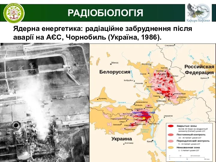 © В.С. Мартинюк Ядерна енергетика: радіаційне забруднення після аварії на АЄС, Чорнобиль (Україна, 1986). РАДІОБІОЛОГІЯ