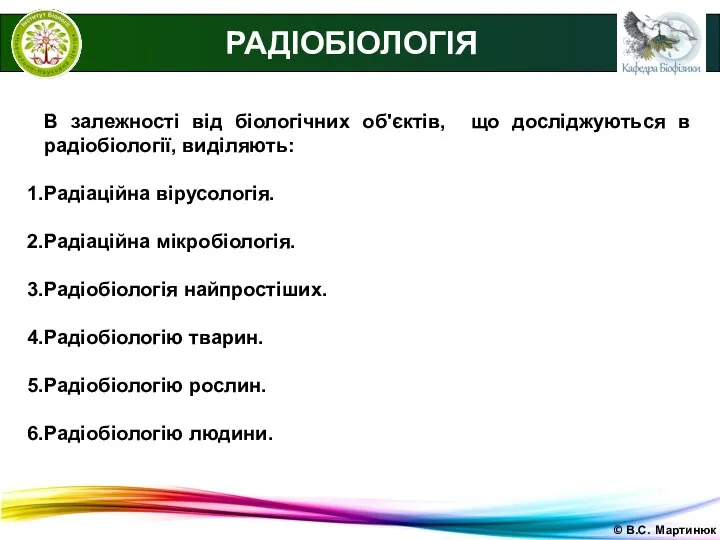 © В.С. Мартинюк В залежності від біологічних об'єктів, що досліджуються