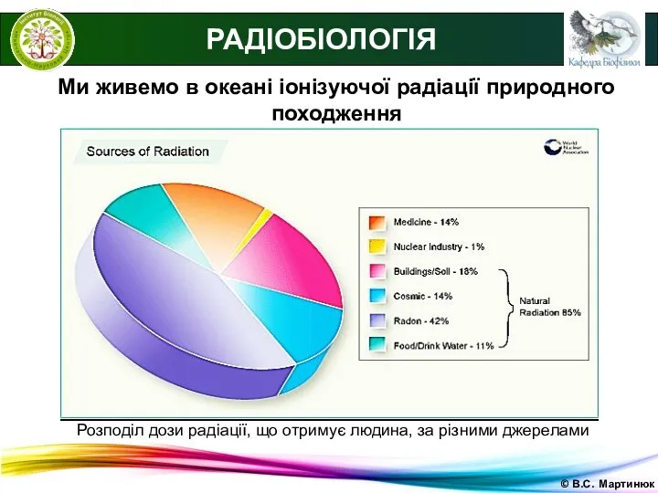 © В.С. Мартинюк Ми живемо в океані іонізуючої радіації природного