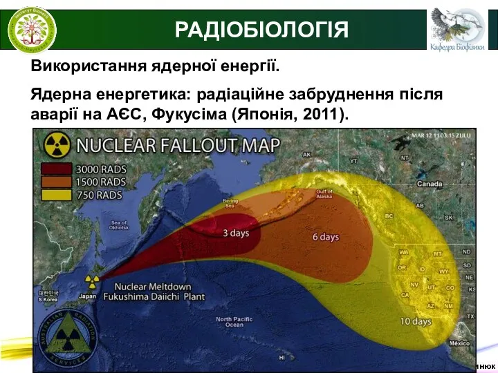 © В.С. Мартинюк РАДІОБІОЛОГІЯ Використання ядерної енергії. Ядерна енергетика: радіаційне