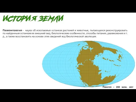 Палеонтология - наука об ископаемых останках растений и животных, пытающаяся