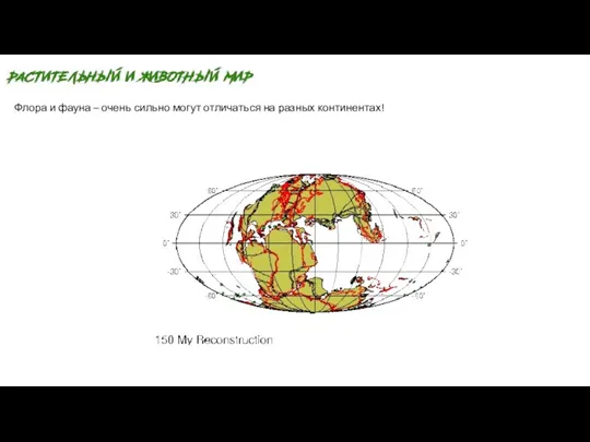 Флора и фауна – очень сильно могут отличаться на разных континентах!